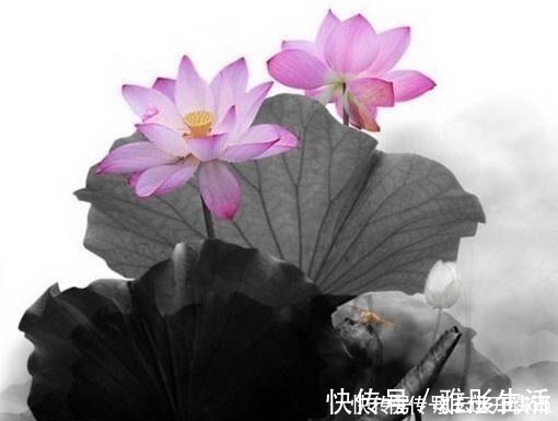 人生在世|佛教最经典的24句话,修身养性,不看是你的损失!