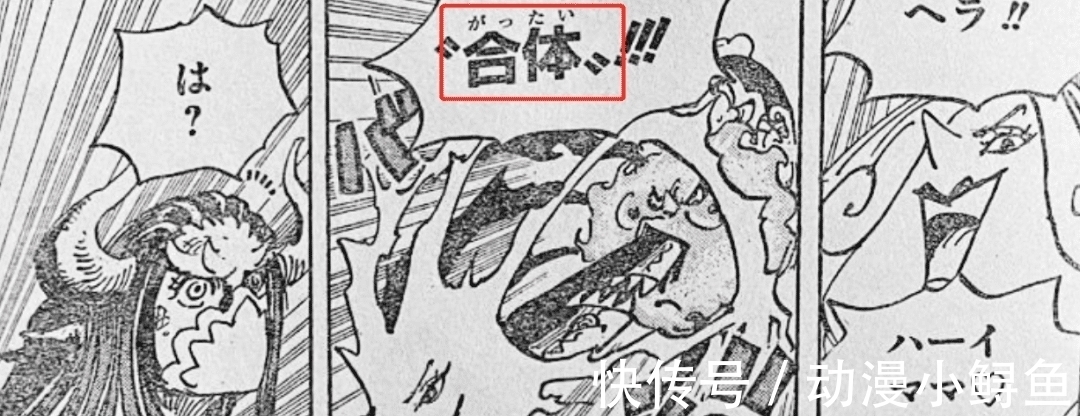 小玉|海贼王1013话:宙斯被吃掉,基德救下娜美和乌索普