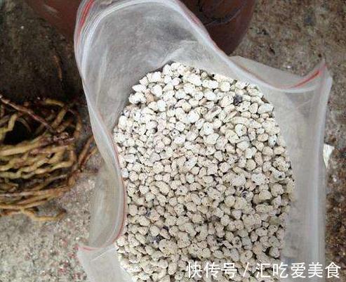 别人的多肉养的白白胖胖,你的多肉一星期换一颗,到底是为什么