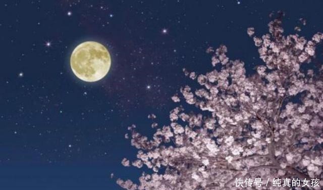 眼中|男人眼中最美的爱是怎样纳兰性德用短短13字,道尽世间最真的爱