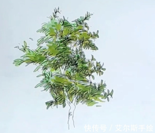 颜色|「艾尔斯马克绘」用马克笔如何画出栩栩如生的植物呢？