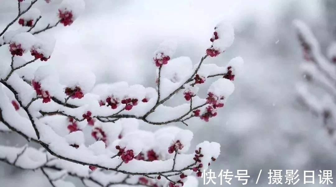 寒夜$冬日时光诗六首，昼短苦夜长，何不秉烛游，古人在寒夜里做什么？