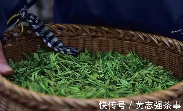 采摘!头采茶vs头春茶