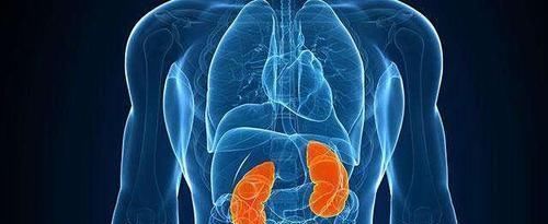 喝茶|早晨起床后，多数人都喜该样子喝水，对肾脏伤害很大！