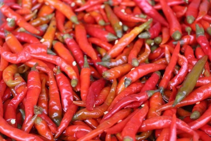 没得泡菜，丽江人真的吃不下饭！