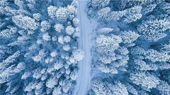  安康|今日大雪，愿君安康！