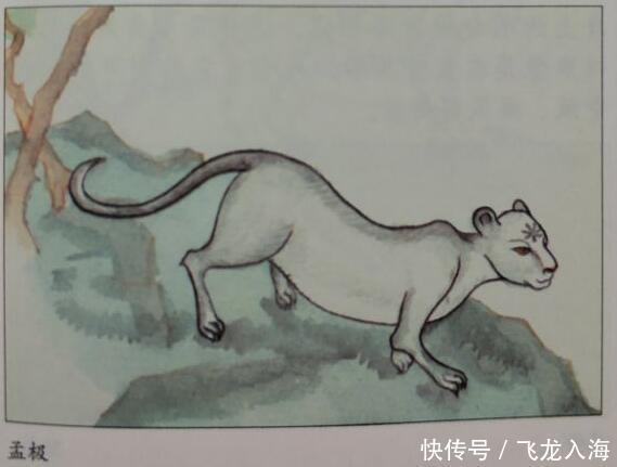 山海经|山海经北山经中的怪兽全图文解说四,其中怪兽你认识几个