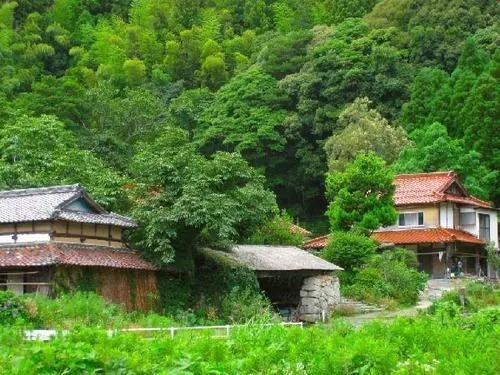 农村|城里人回乡下继承房产,只有房没有地?!