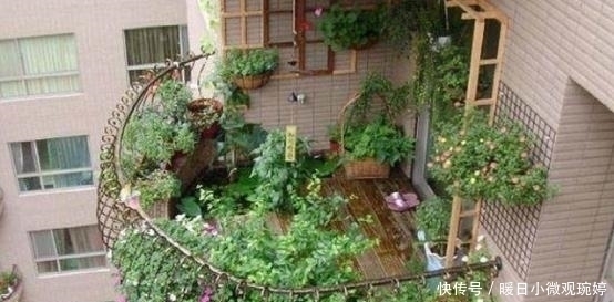 头一次见阳台上面还能这样养花，几平米空间变花园，太聪明了