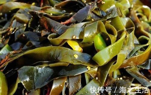 月经不调|甲状腺出现了结节要多吃蔬菜？并不是，这4种蔬菜要少吃，别大意