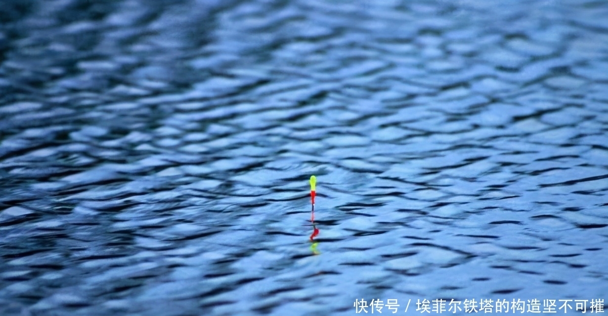 鱼口杂乱无实口,调低钓高这么调,马上竿竿都是死口