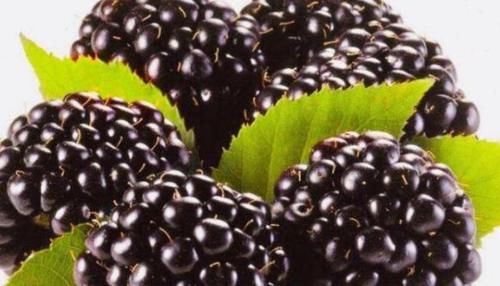 维生素p|秋天了，多吃三种食物，养颜润肤，改善食欲，增强身体免疫力