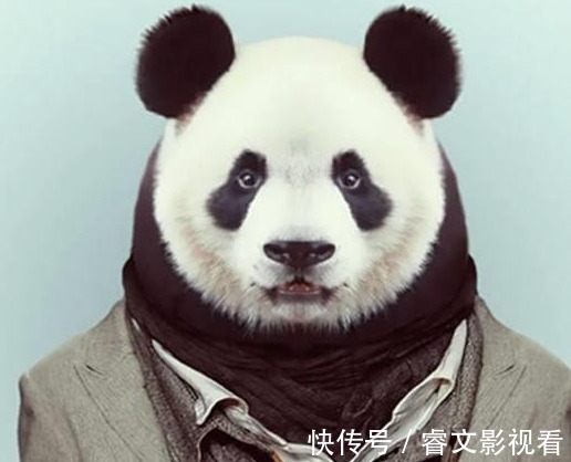 肾功能|肾功能“稀烂”的男生,头部“3处”会亮红灯,对照一下自己