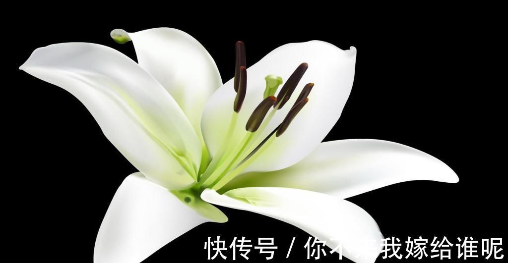 子宫|妇科炎症太磨人?试试多吃6种食物,或消炎抑菌,子宫更干净