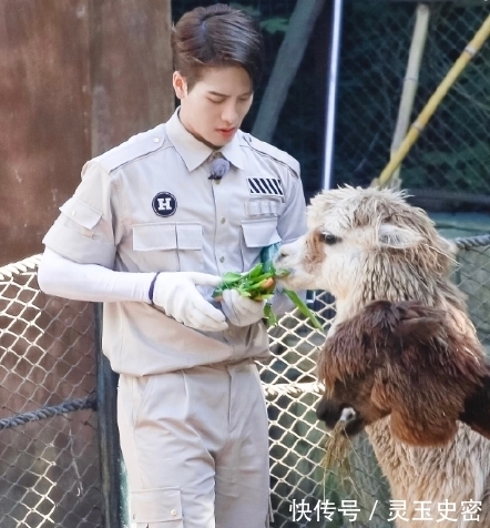 姚譯添|姚譯添新綜藝《嗨放派》即將來襲，5大男神加盟，陣容期待了