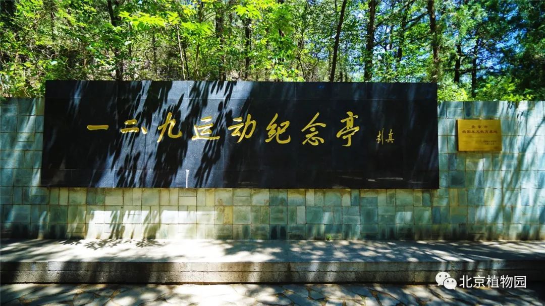 玉渡山|北京号带您“云”游～2021北京网红打卡地之自然景观