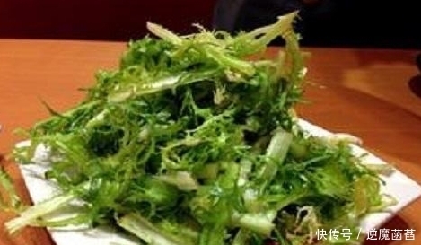 苦苣菜|农村乡下拥有高营养的三种野菜，吃法很多，你吃过几种呢！