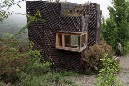 种菜|他用40棵松树,在荒山野林建起小屋,屋顶种菜生活自给自足