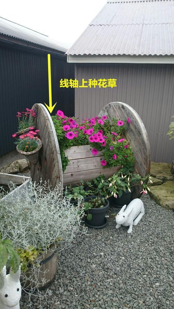 旧电缆线轴别人当柴烧，老爸却花钱买来放院子当花坛，这是艺术品