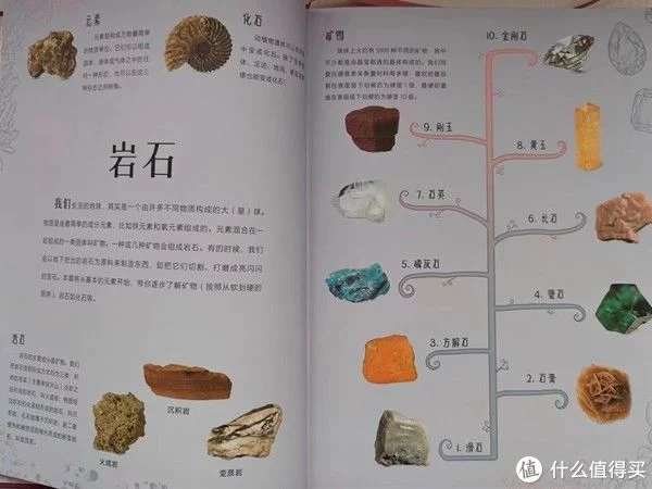 墙裂推荐（我的心爱之物）我的心爱之物作文200字 第16张