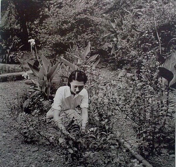 小姐|张学良亲手拍摄的赵四小姐:穿着睡袍胡思乱想,戴着老花镜看八卦杂志!