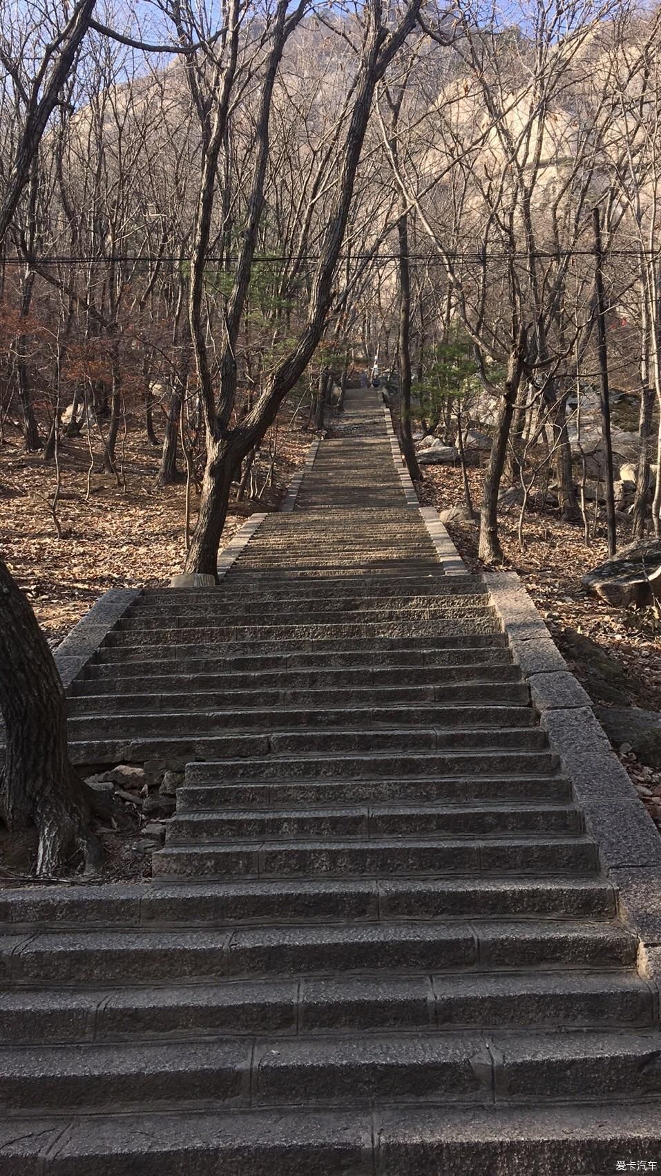 一日游|临时决定的旅行，凤凰山初冬一日游