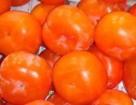 鞣酸蛋白|都说“一个柿子十副药”,到底有什么好处有2类人别吃