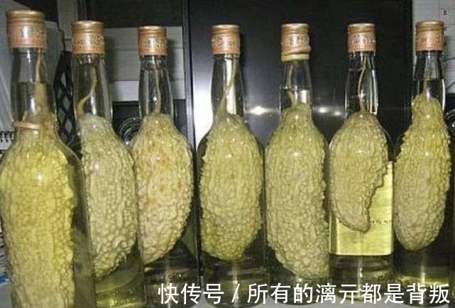 一个月|大妈为苦瓜套玻璃瓶，村民嘲笑她，一个月后苦瓜身价翻10倍！