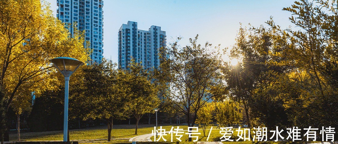 高能天团|楼市一线丨阳光城梦想单曲&高能天团重磅曝光?有点东西!