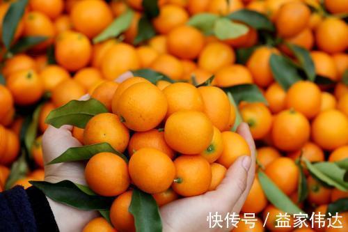 肌肤|女人不想变老，不妨坚持吃三种食物，细嫩肌肤，减少皱纹