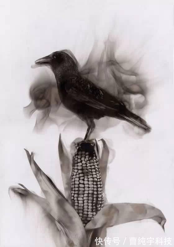 steven$理科生我们不画则已,一画就会让美术生都感到害怕