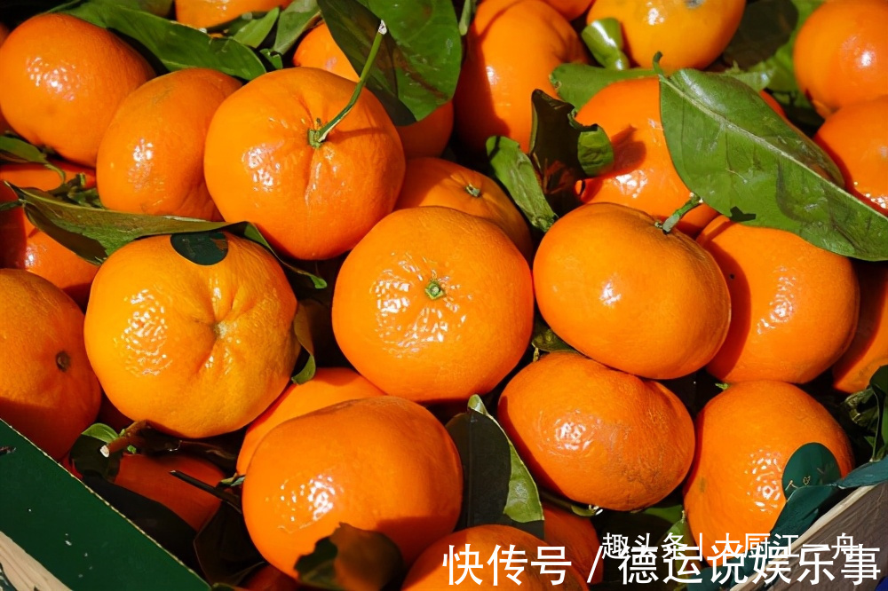 吃桔子究竟是上火，还是败火？很多人一直弄错了，看完后涨知识了