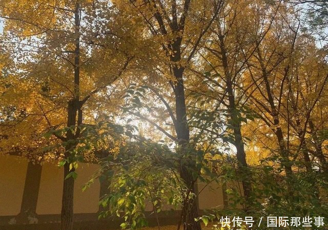 疫情|疫情下的众生,已见曙光的疫苗