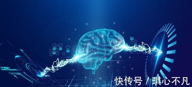 在一年一度高交会,看城市发展的“AI三部曲”