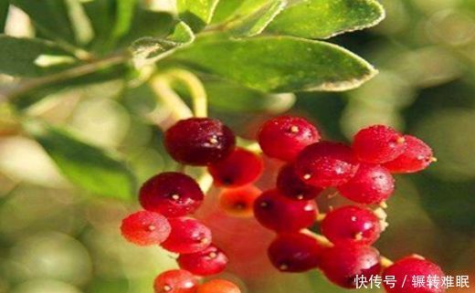 女人不想老的快,脸上爬满皱纹,3种食物,保护心血管,抗衰老