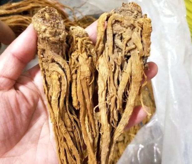 黄芪|女人月经变少不要慌,多吃4种激发食物,排出子宫毒素卵巢也受益