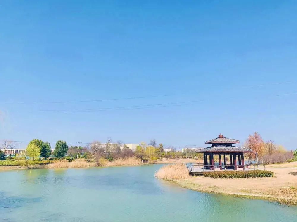 老年|春暖花开!阜城第一波春色来啦~