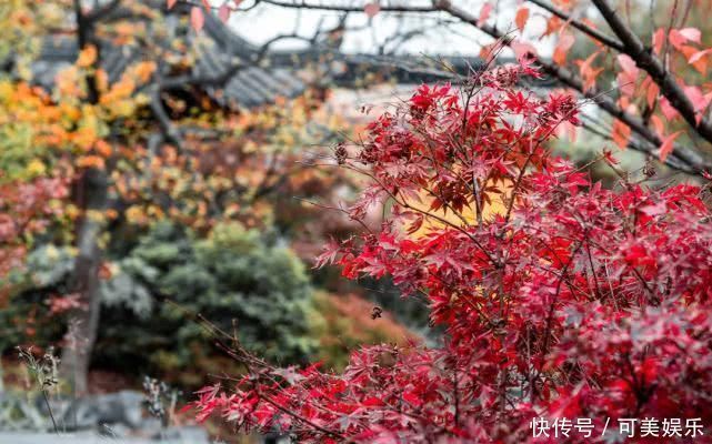 建发|20个新中式庭院,让诗与远方从这里走进我们的生活