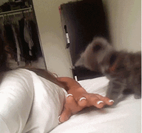 |搞笑GIF:帅哥吃个饭都不忘皮一下,大姐用劲儿大点儿