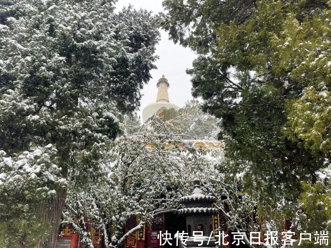 美景|立冬恰逢初雪，北京号带您“云”赏雪后美景