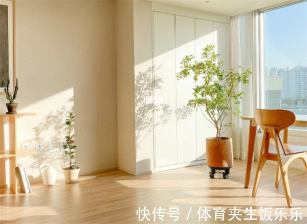 风水&“家中有三象,财神蹦上炕”,究竟是哪“三象”?有没有道理?