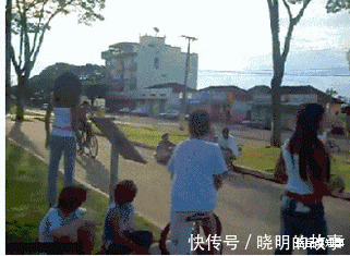 好好学习|“在拼夕夕上买了驱蚊手环,这蚊子是怎么回事?