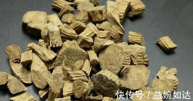 中医|一味能“引血下行”的良药,可活血瘀、强筋骨、益肝肾