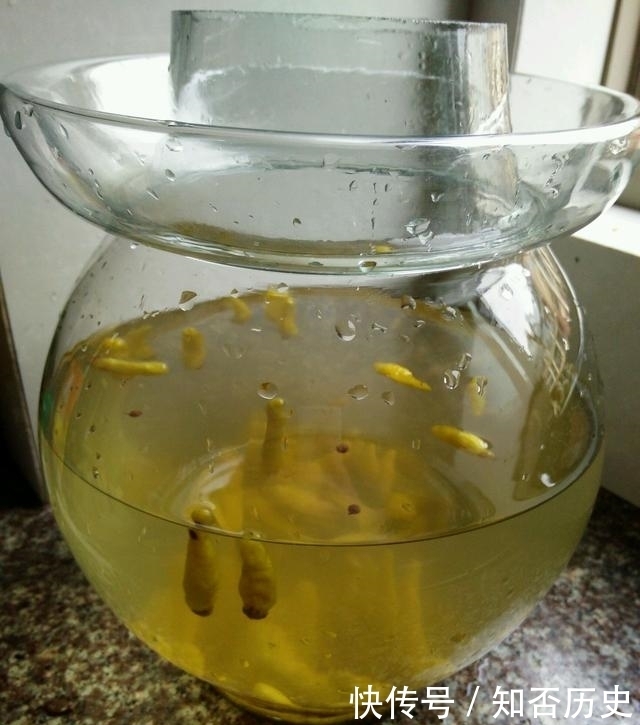 自制|自制泡菜,夏天做的泡菜