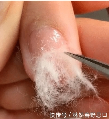 别再去美甲店了,最近这款“棉花”延长指甲火了,自己在家就能做