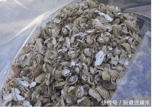 4种垃圾不会分类别担心，埋在花盆底，叶子绿得直滴油！