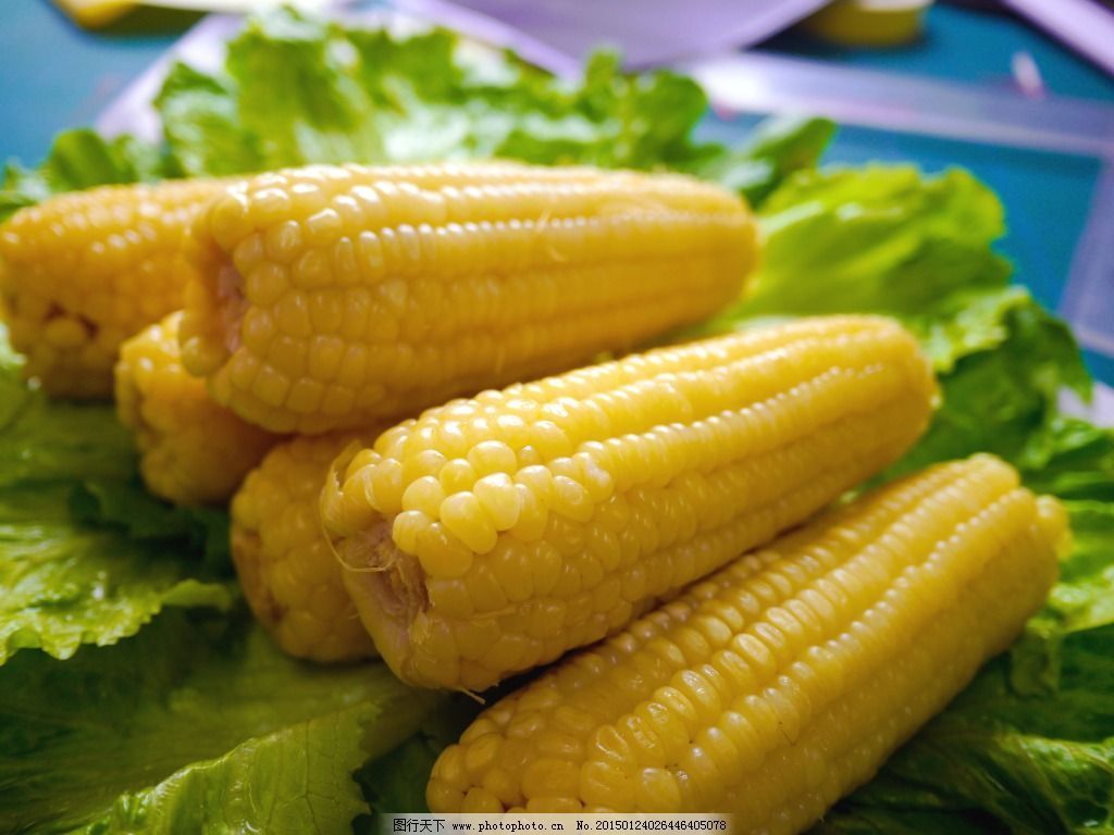典韬摄影 | 这是爱吃玉米的人吃的玉米_典韬视觉-站酷ZCOOL
