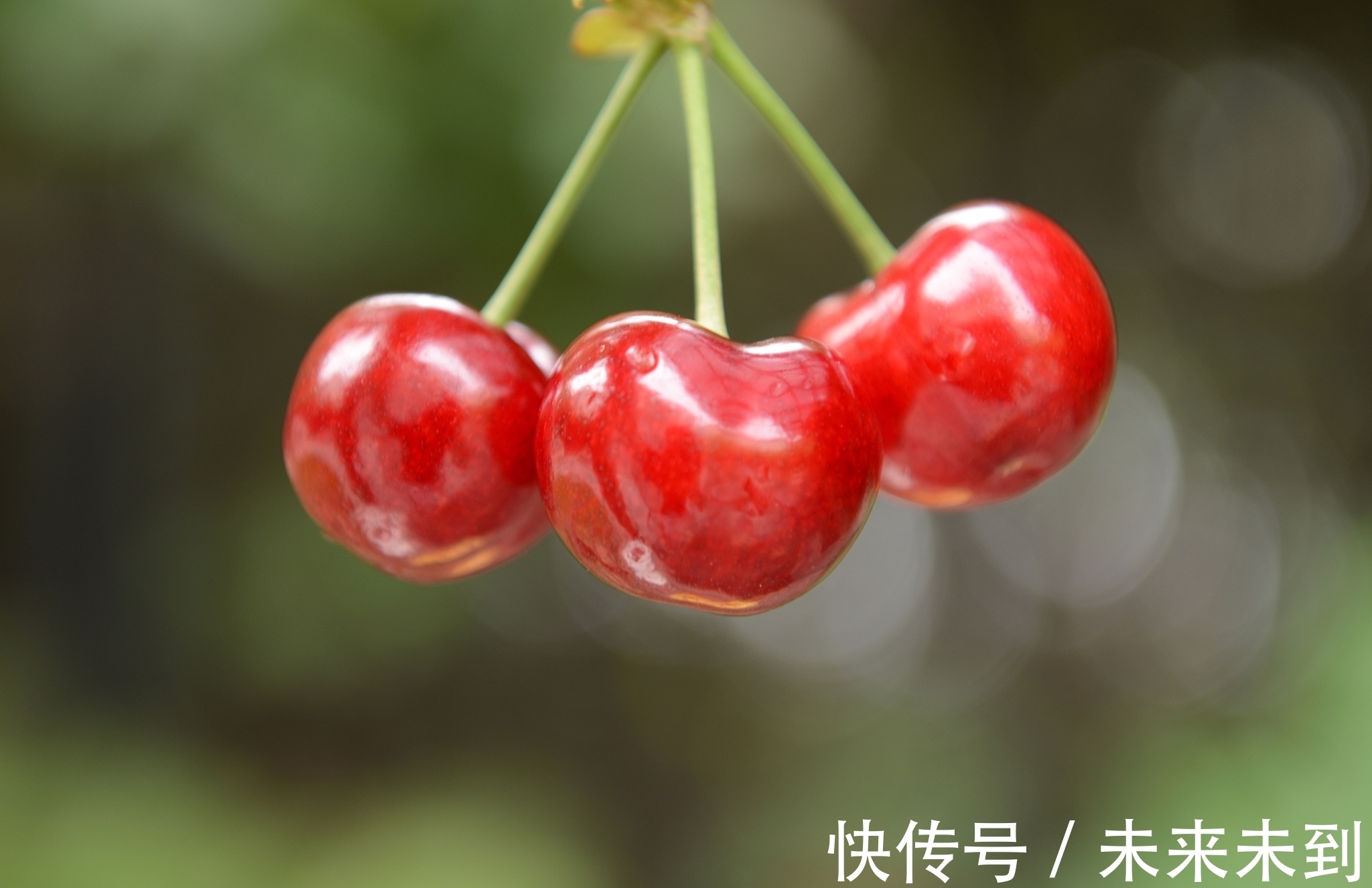 佳作$情诗八首,其中一首是梁武帝萧衍的五言佳作,您喜欢吗