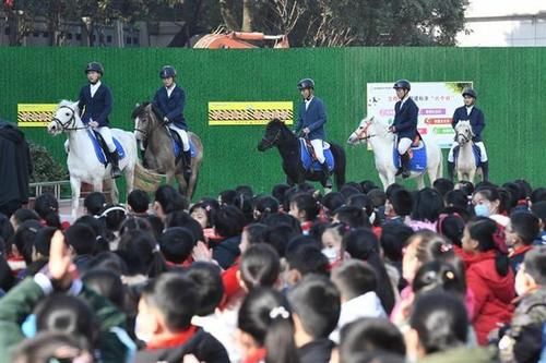 小小骑士进校园，水果湖一小举行马术公开课