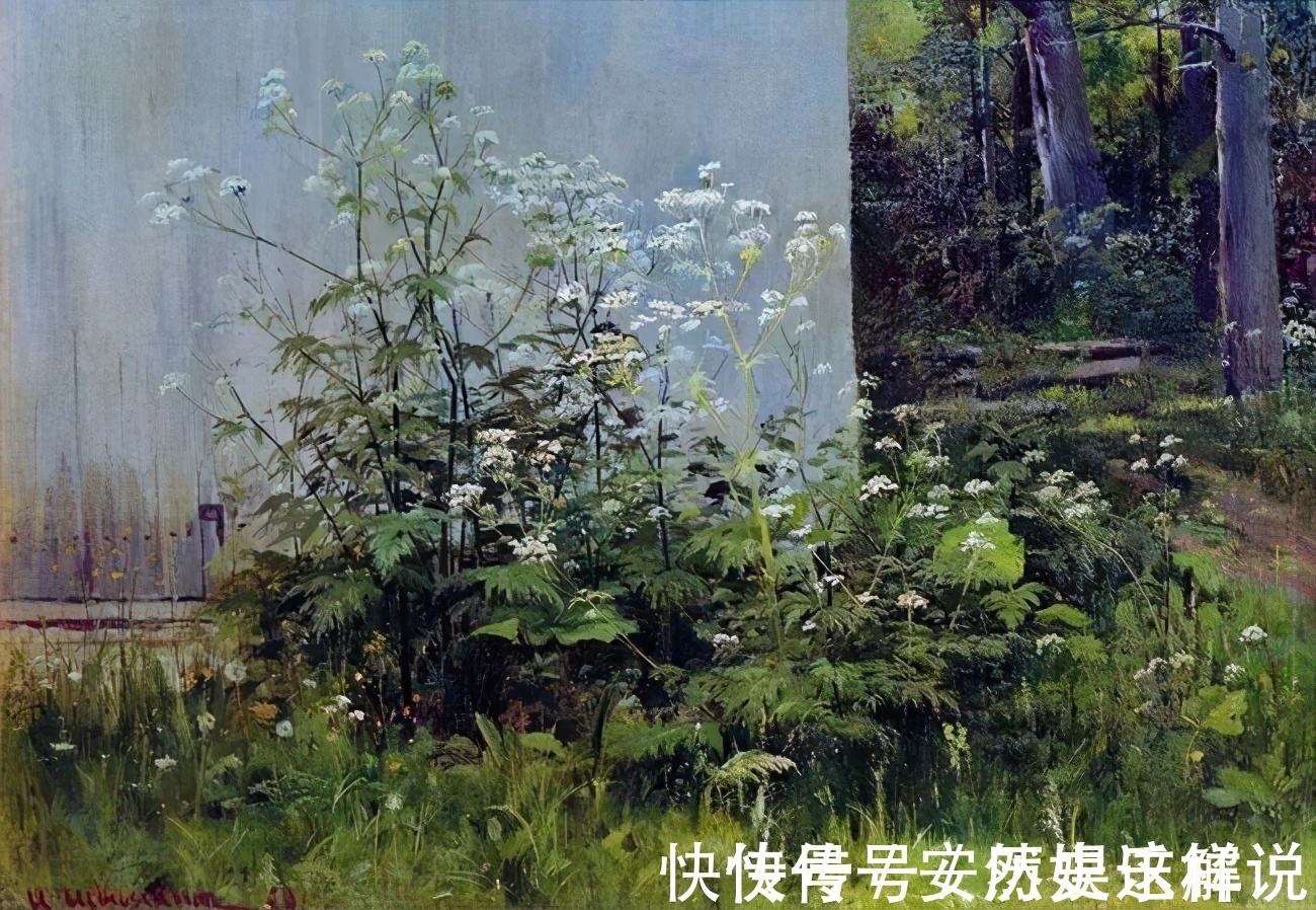 那个时代$俄罗斯杰出风景画家希施金的作品，诗一般的境界！